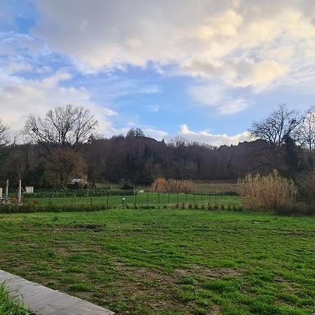 Villa Azzurra Immersa Nel Verde Tra Firenze, Arezzo E Siena Terranuova Bracciolini Eksteriør billede